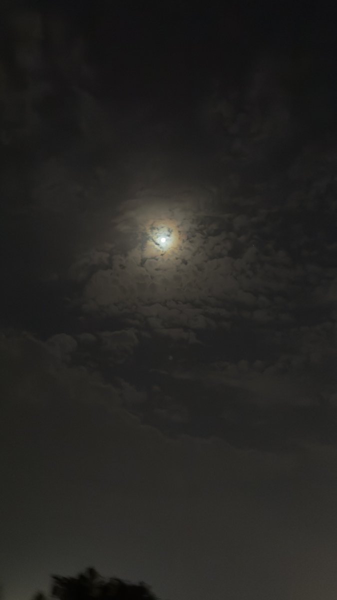 محمد tweet media