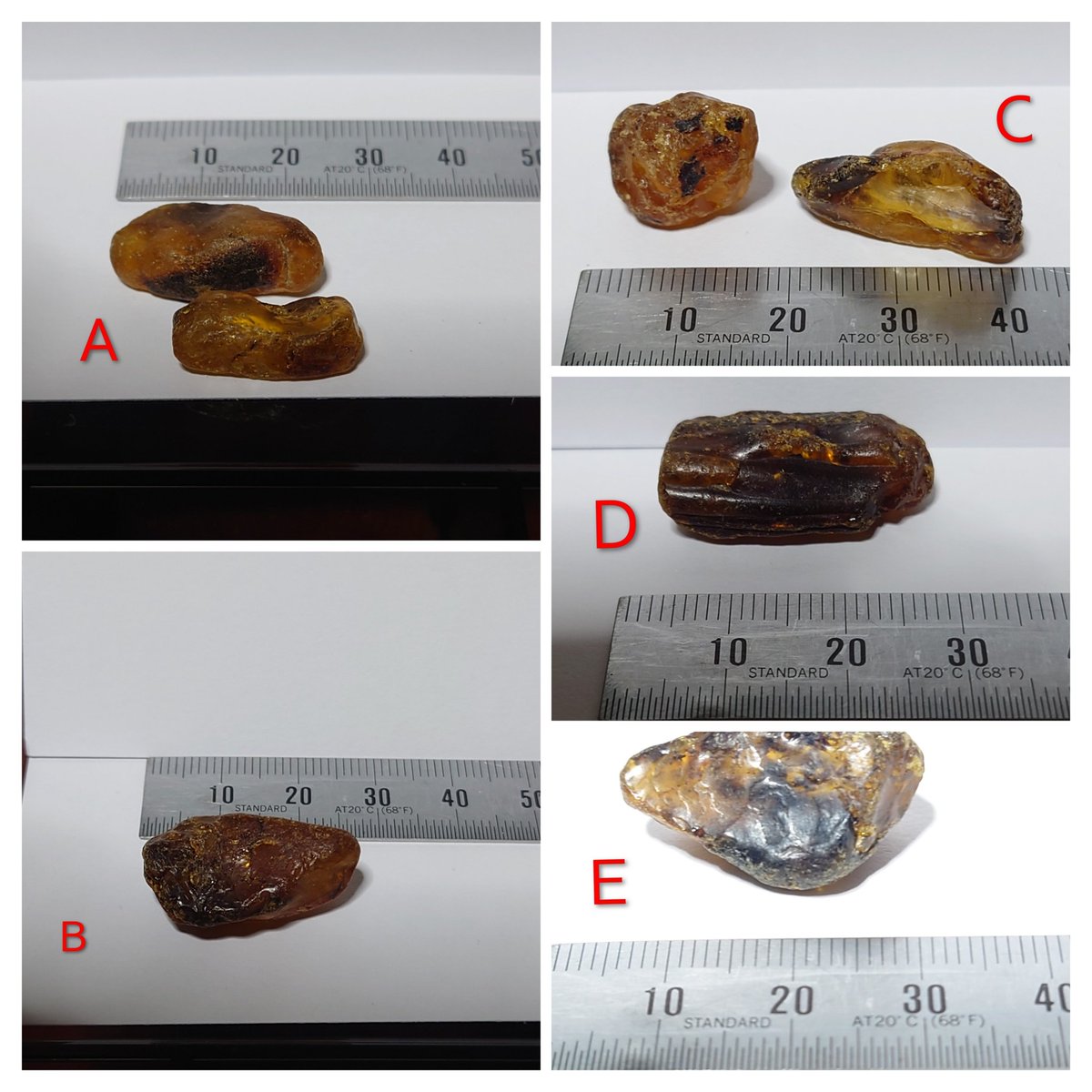猫おじさん tweet media