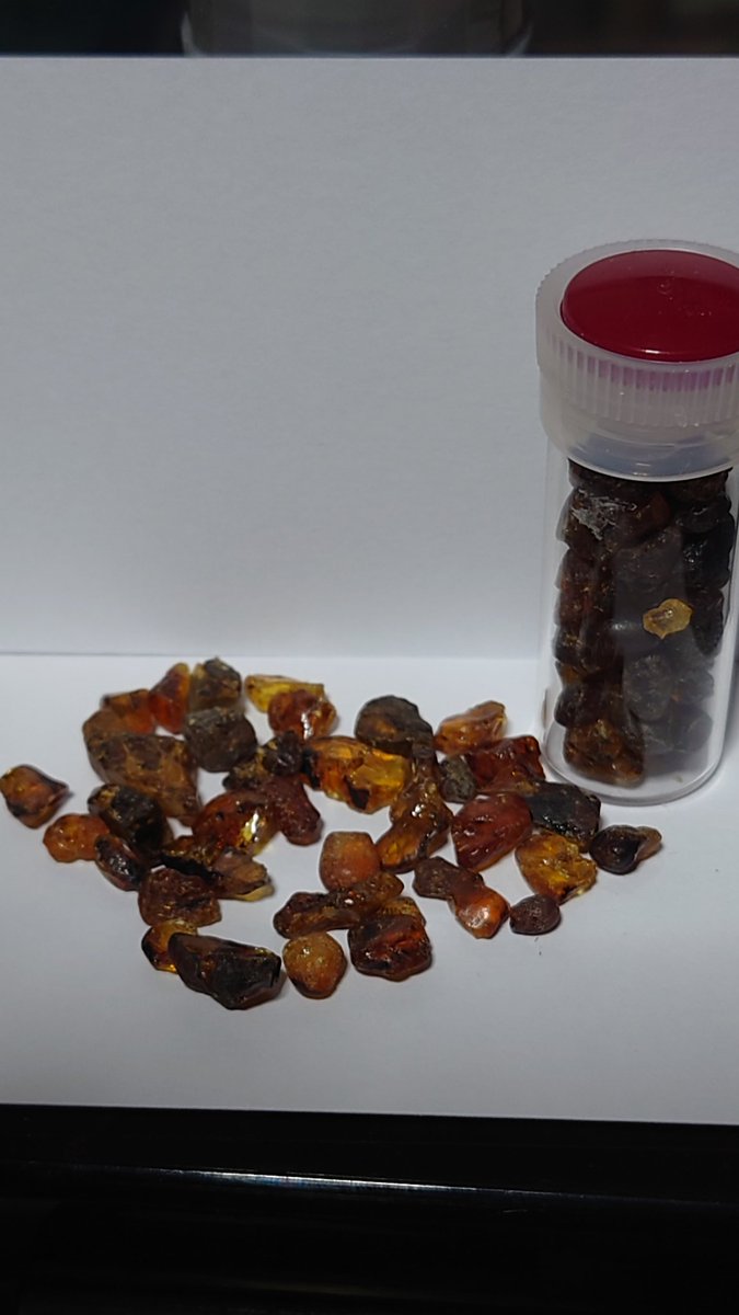 猫おじさん tweet media