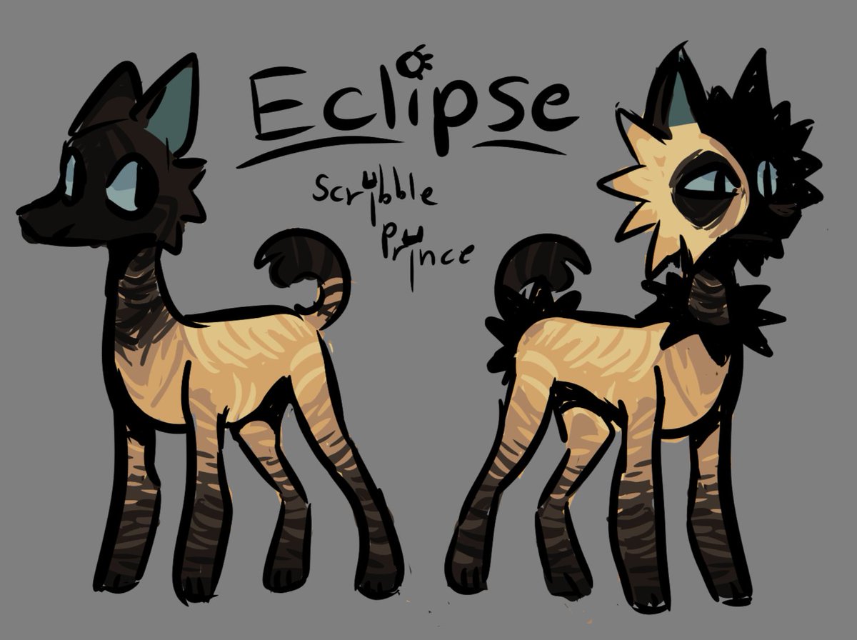 👑ScribblePrince tweet media