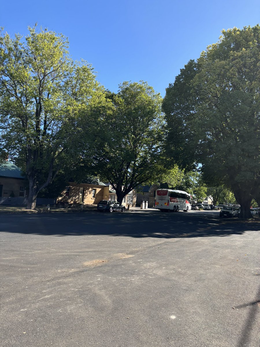 omgこぽん tweet media