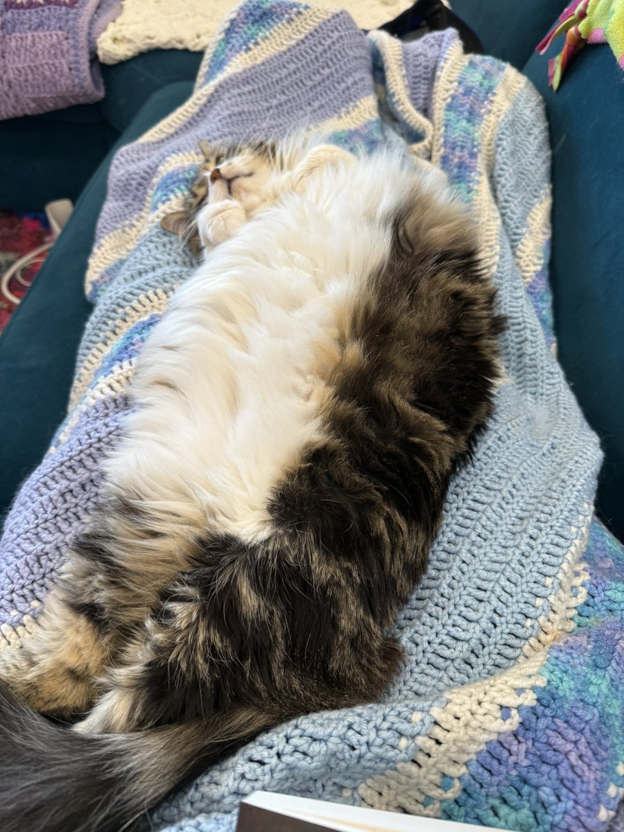 🐻 Mary Elizabeth ⚾️ #FlyTheW tweet media