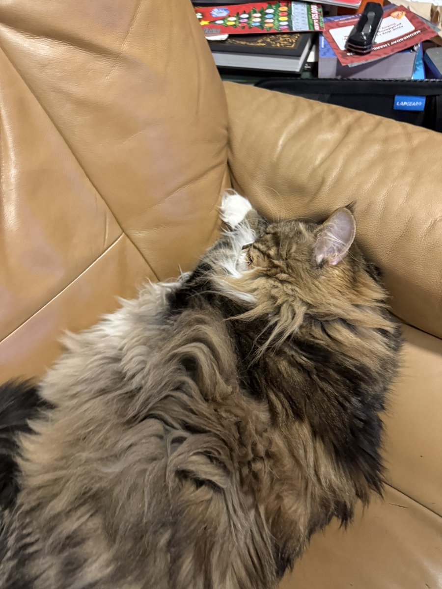 🐻 Mary Elizabeth ⚾️ #FlyTheW tweet media