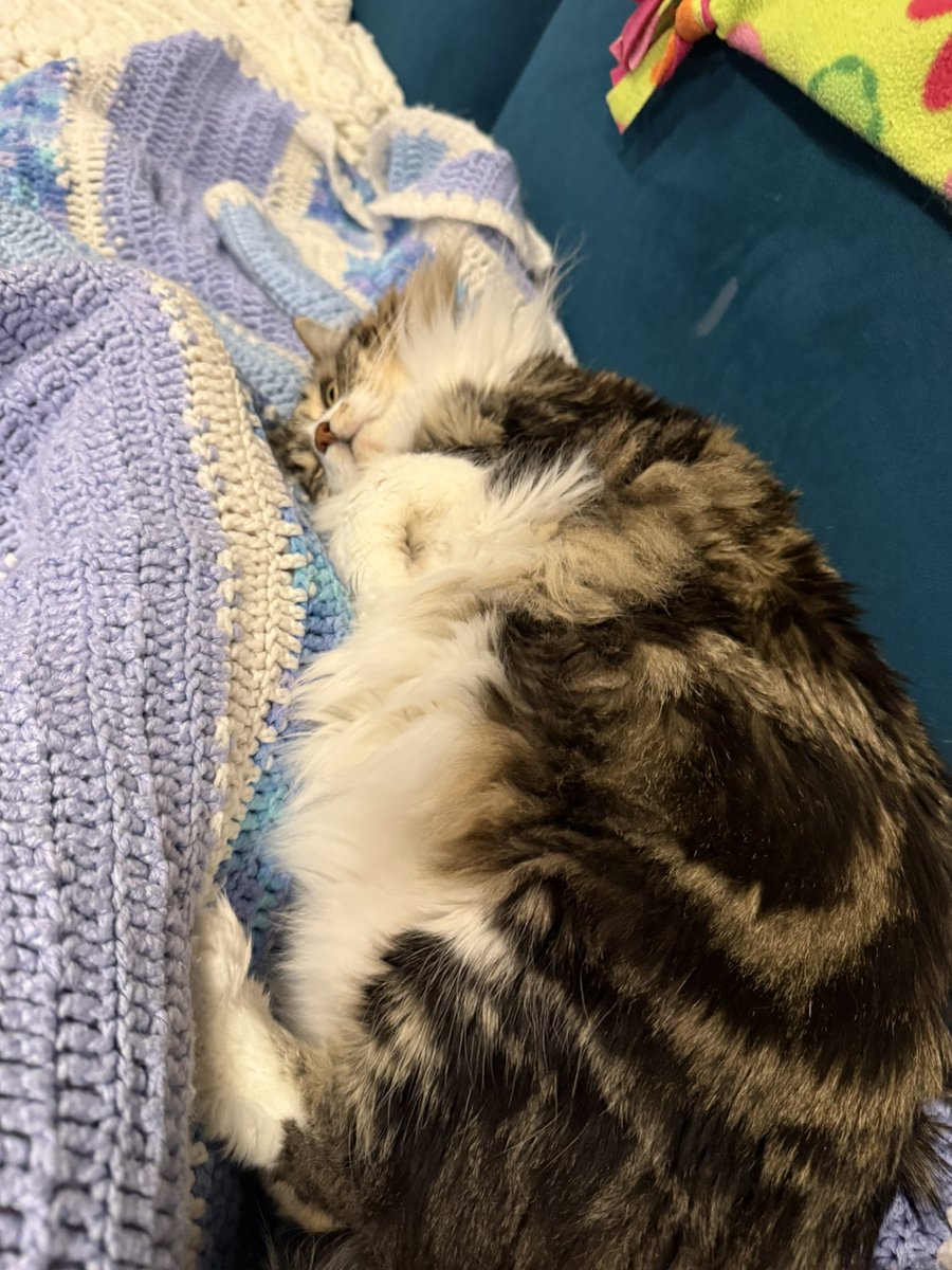 🐻 Mary Elizabeth ⚾️ #FlyTheW tweet media