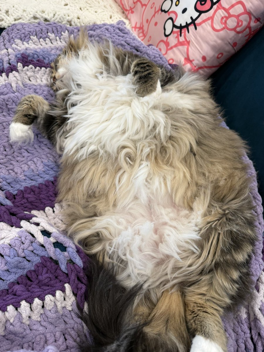 🐻 Mary Elizabeth ⚾️ #FlyTheW tweet media