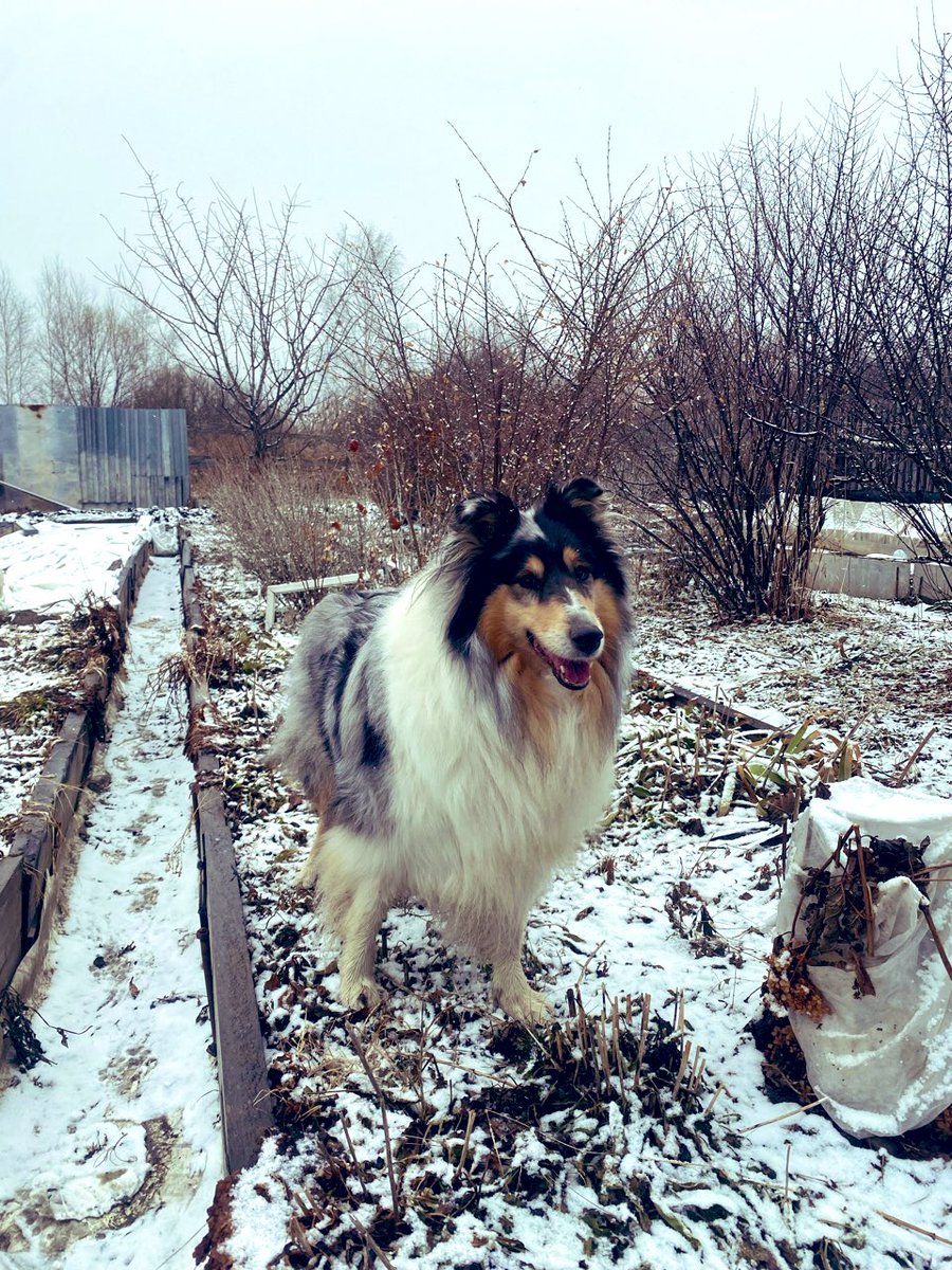 Ольга Панова tweet media