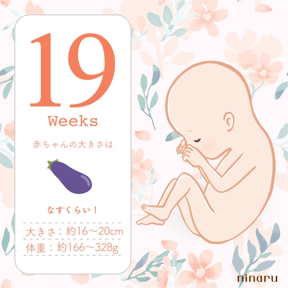 kiki＊初マタ＊19w tweet media