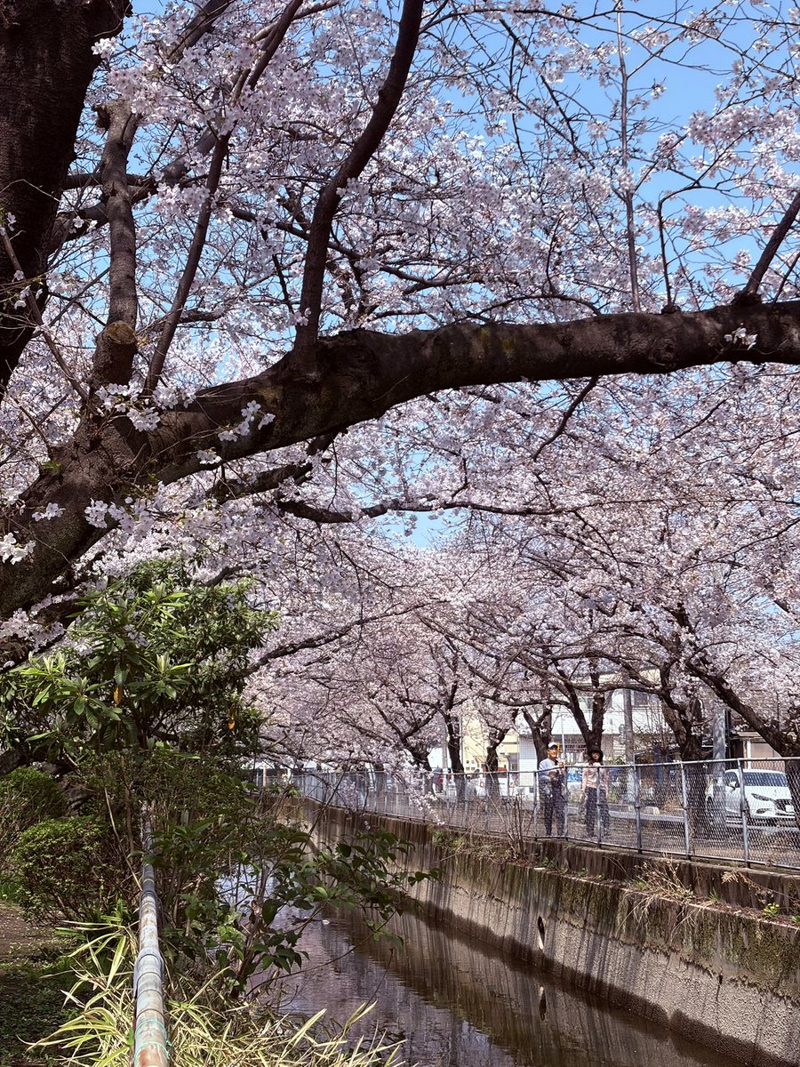 あんこ好きなクルーたまにヘルムスマン、稀にスキッパー（そして、ひな、キキちゃんの下僕） tweet media