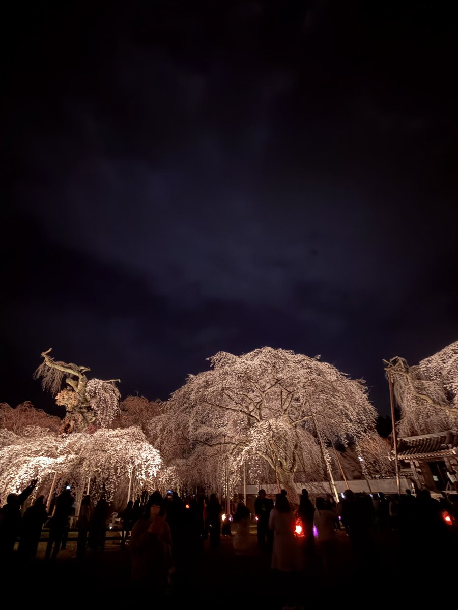 あんこ好きなクルーたまにヘルムスマン、稀にスキッパー（そして、ひな、キキちゃんの下僕） tweet media