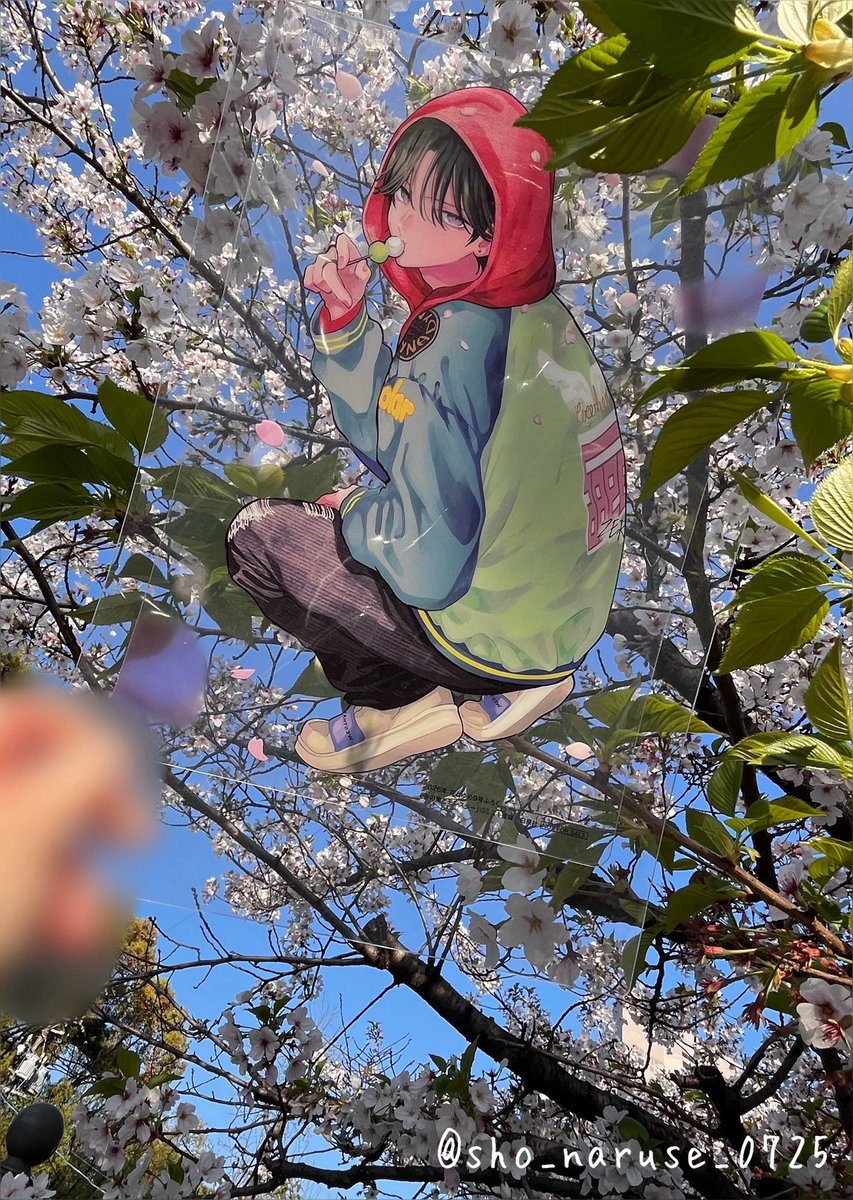 小粒🏀📡💍🐝💐🐬⛓️ tweet media