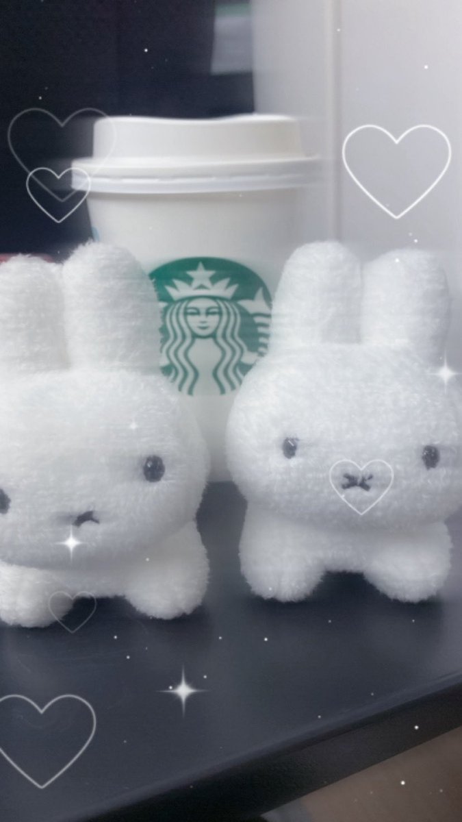 最近お迎えしたかわいこちゃんたちです