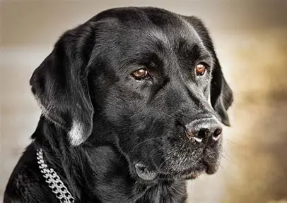 Capt. Terry Coker tweet media