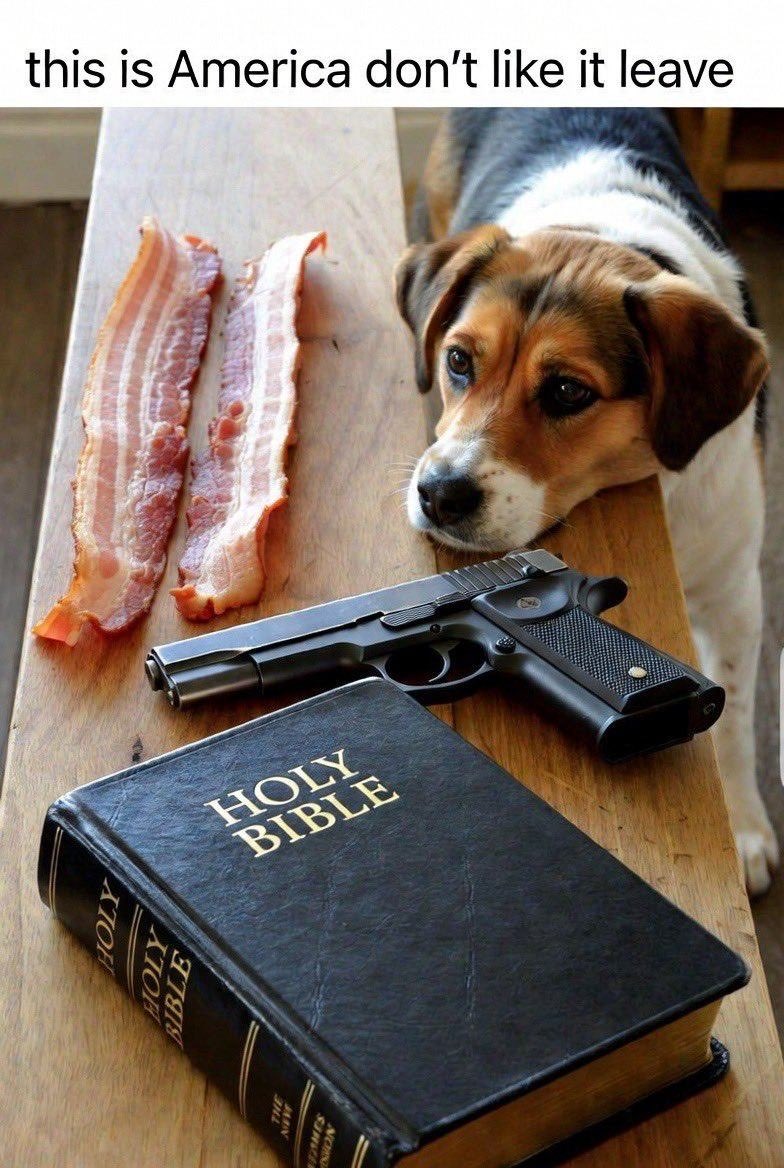 Johnny Midnight ⚡️ tweet media