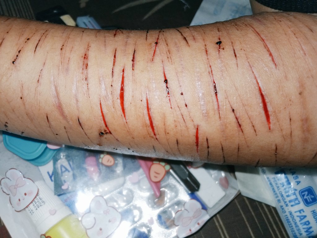 aref ✧ shtwt tweet media