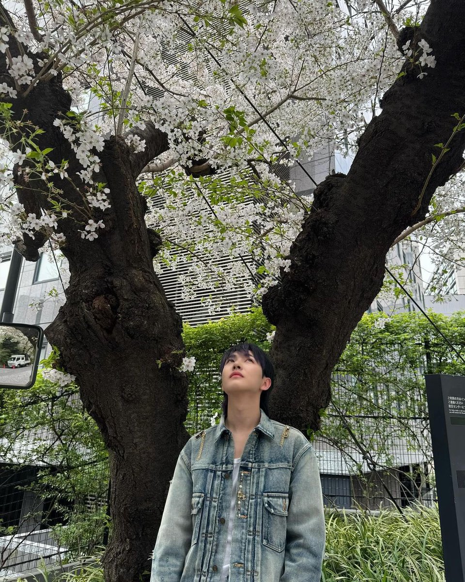 모리🍡 tweet media