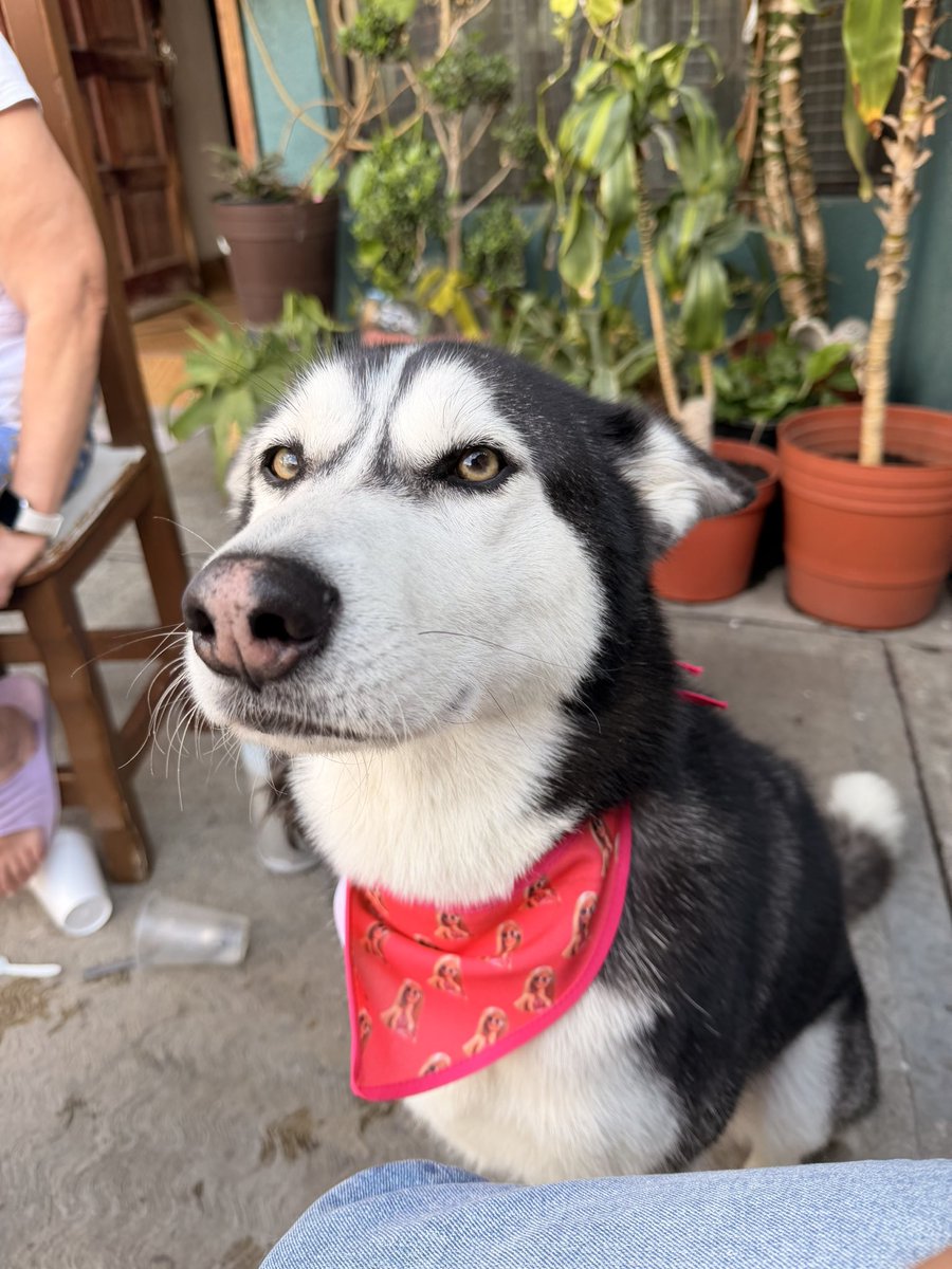 Jessi🌸 tweet media