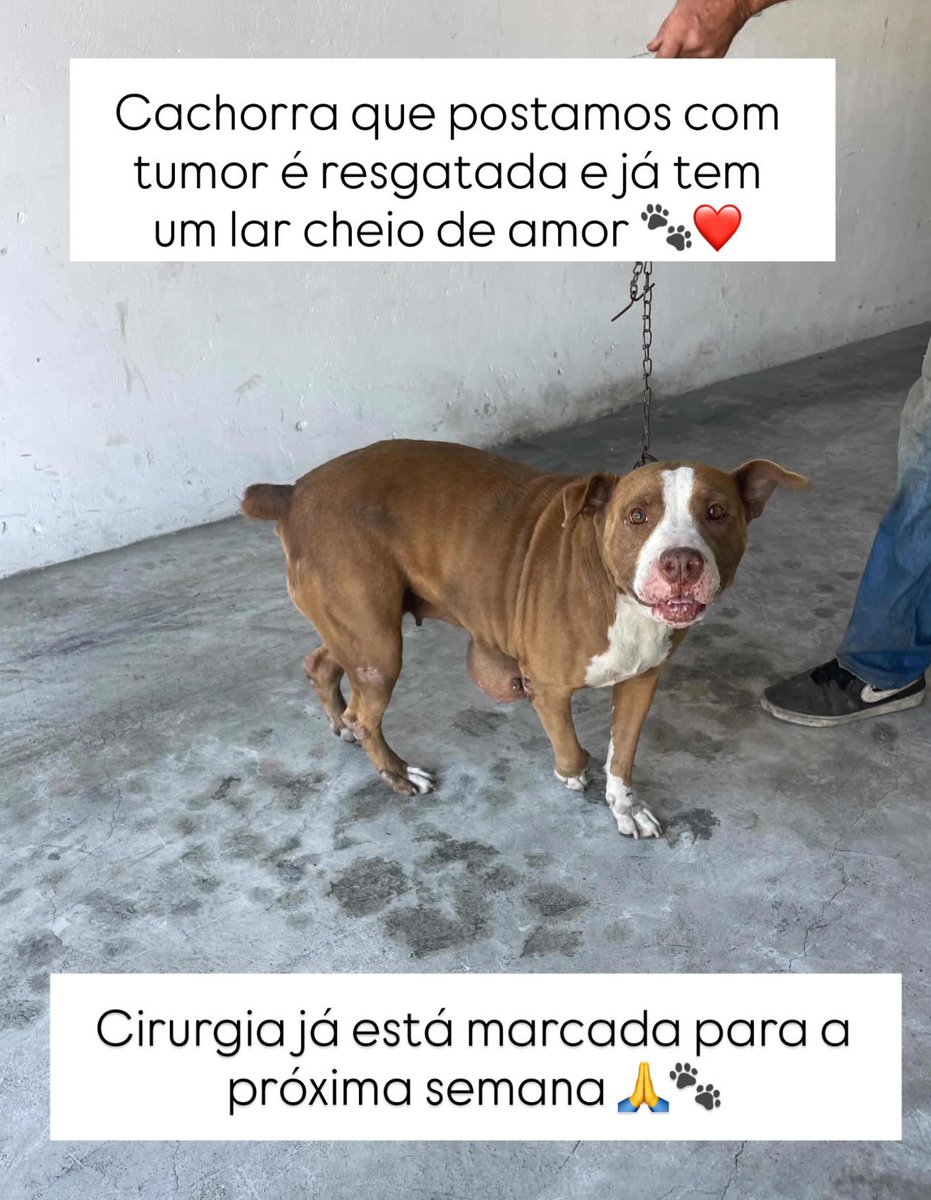 𝒏 𝒂 𝒍 𝒐 🐝 tweet media