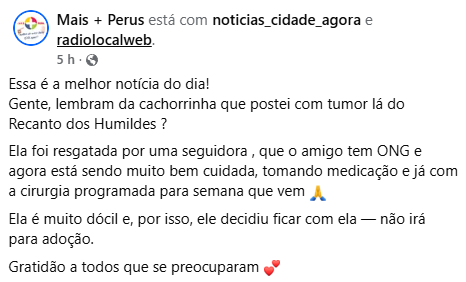 𝒏 𝒂 𝒍 𝒐 🐝 tweet media