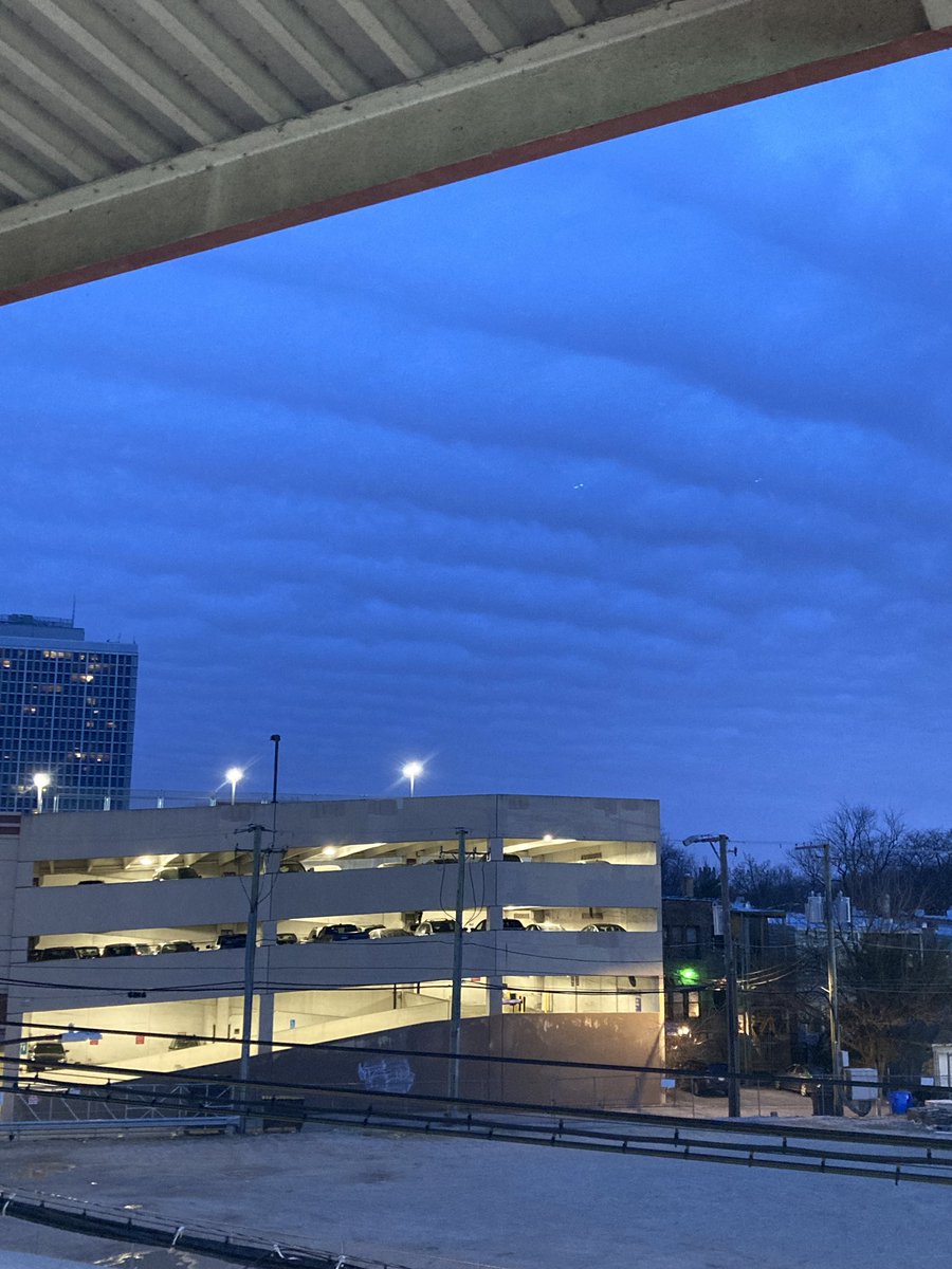 piperflop tweet media