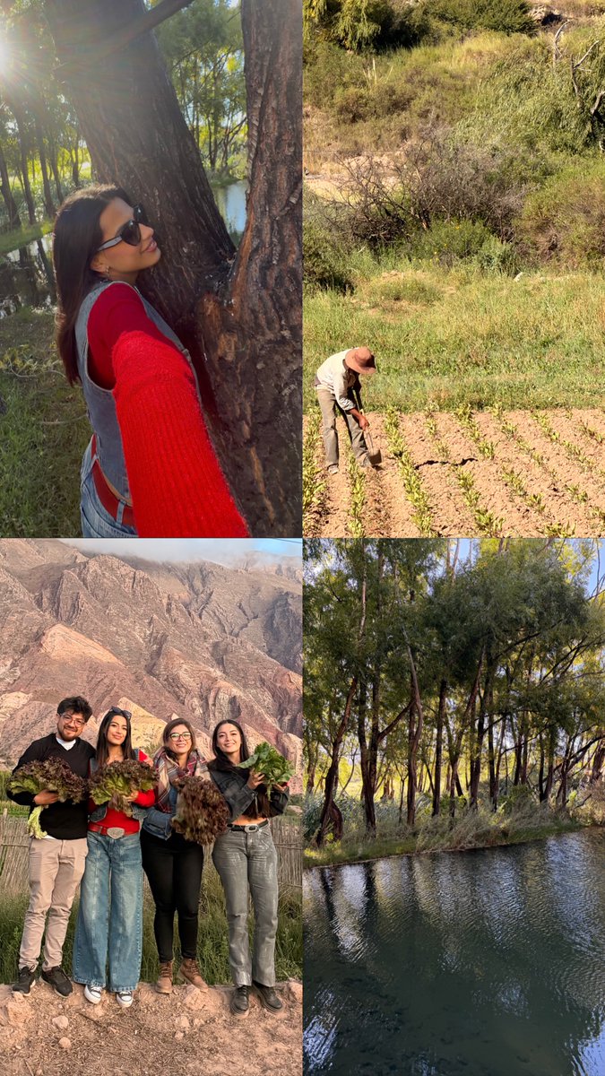 Luz 🌟 | Data tweet media