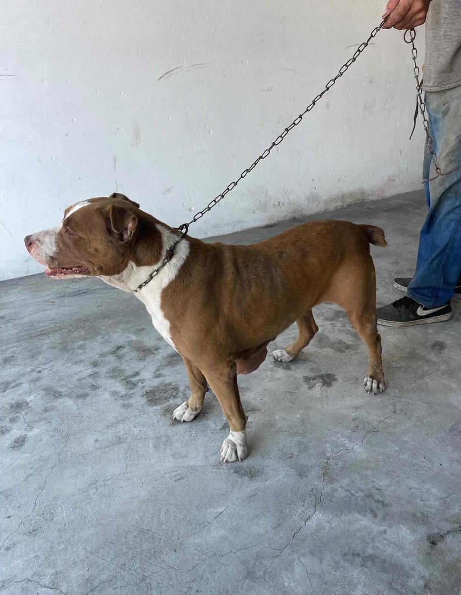 𝒏 𝒂 𝒍 𝒐 🐝 tweet media