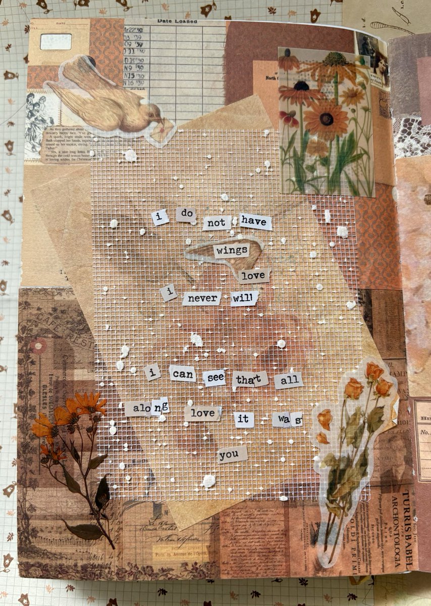 mars ✁ tweet media