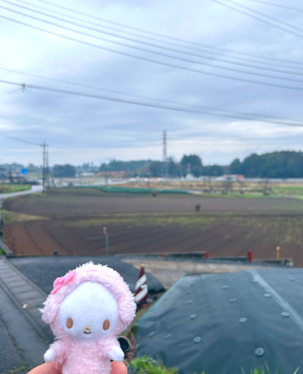pianoniki26's tweet photo. ピアノちゃんこれが都会だよ。 https://t.co/MP7WNftXxF