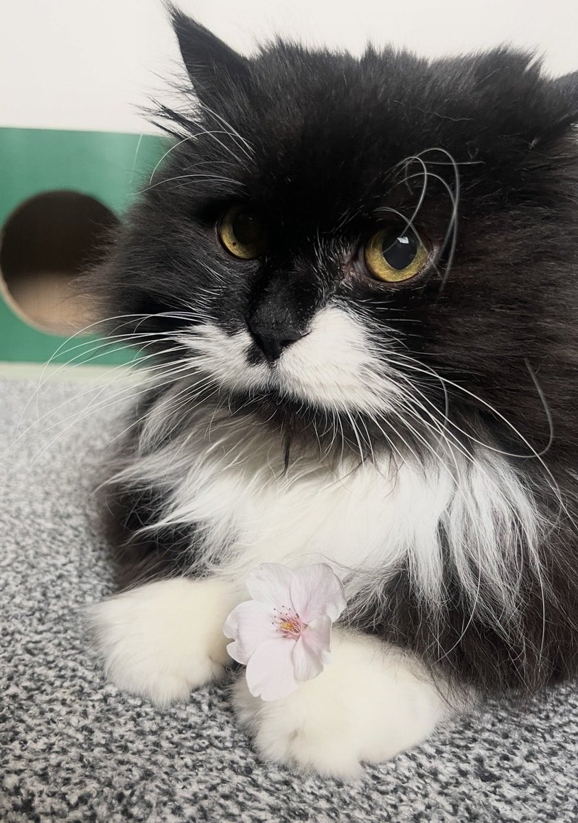 마포농수산쎈타 tweet media