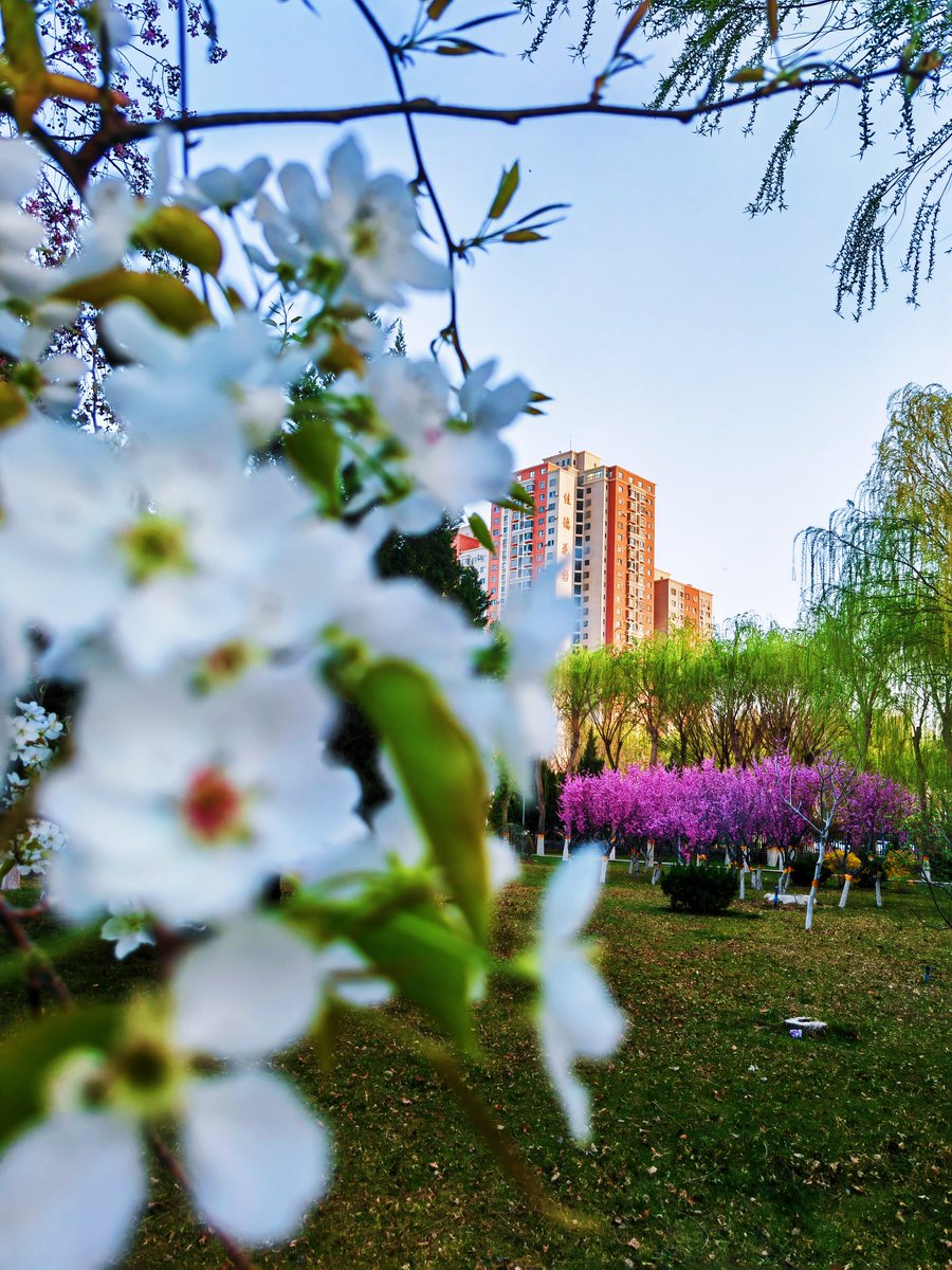 路九天（loveyou） tweet media