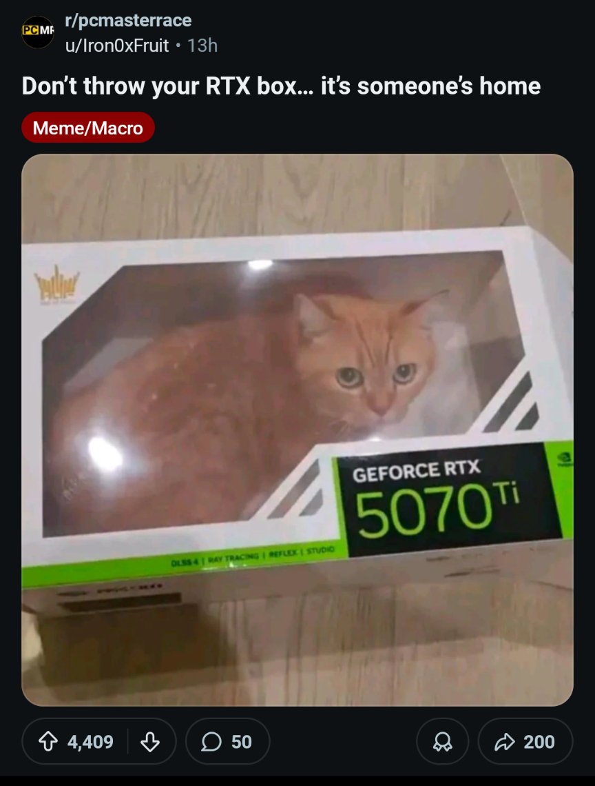 Jen Gentleman 🌺 tweet media