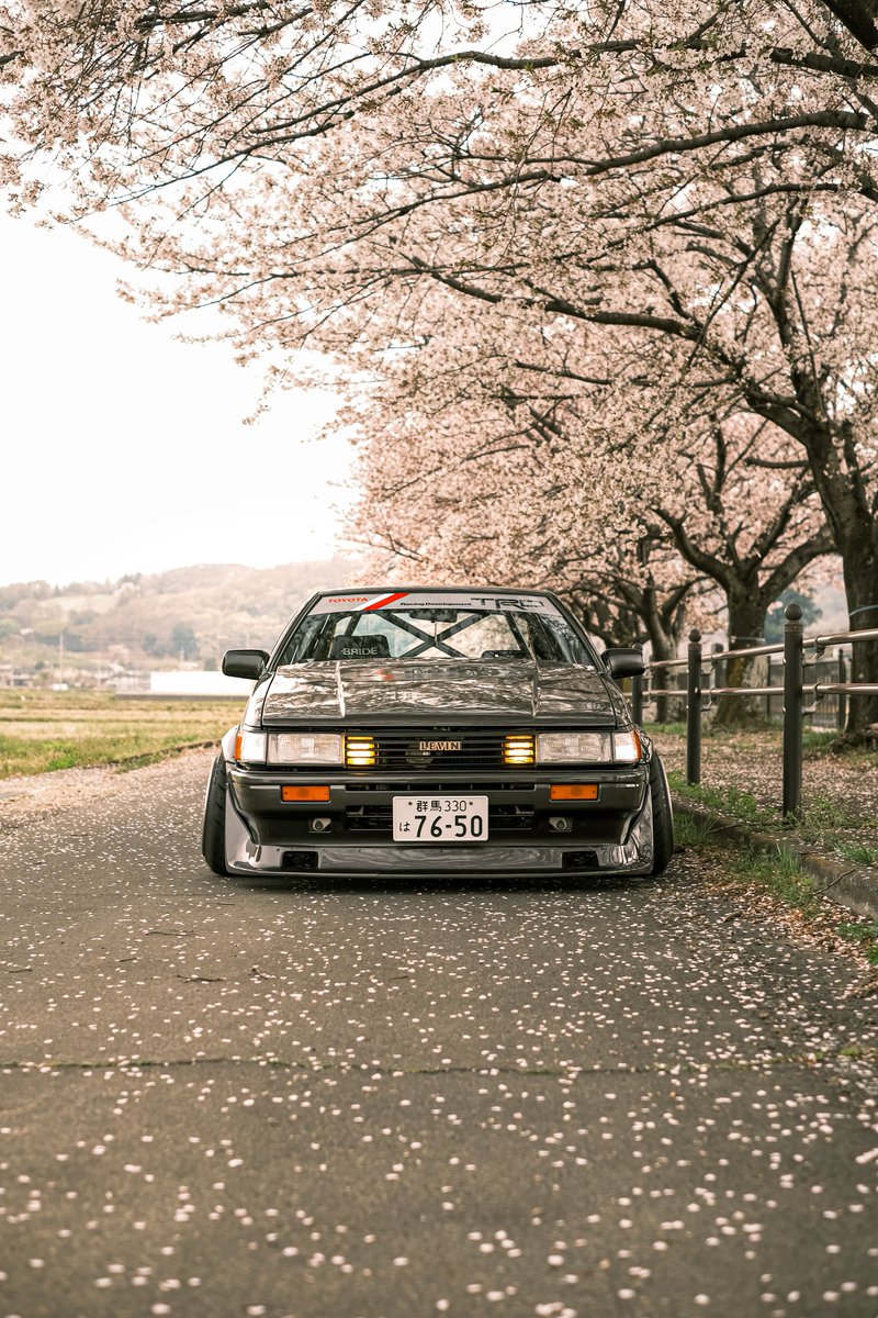 あざらし🍜🥟 tweet media