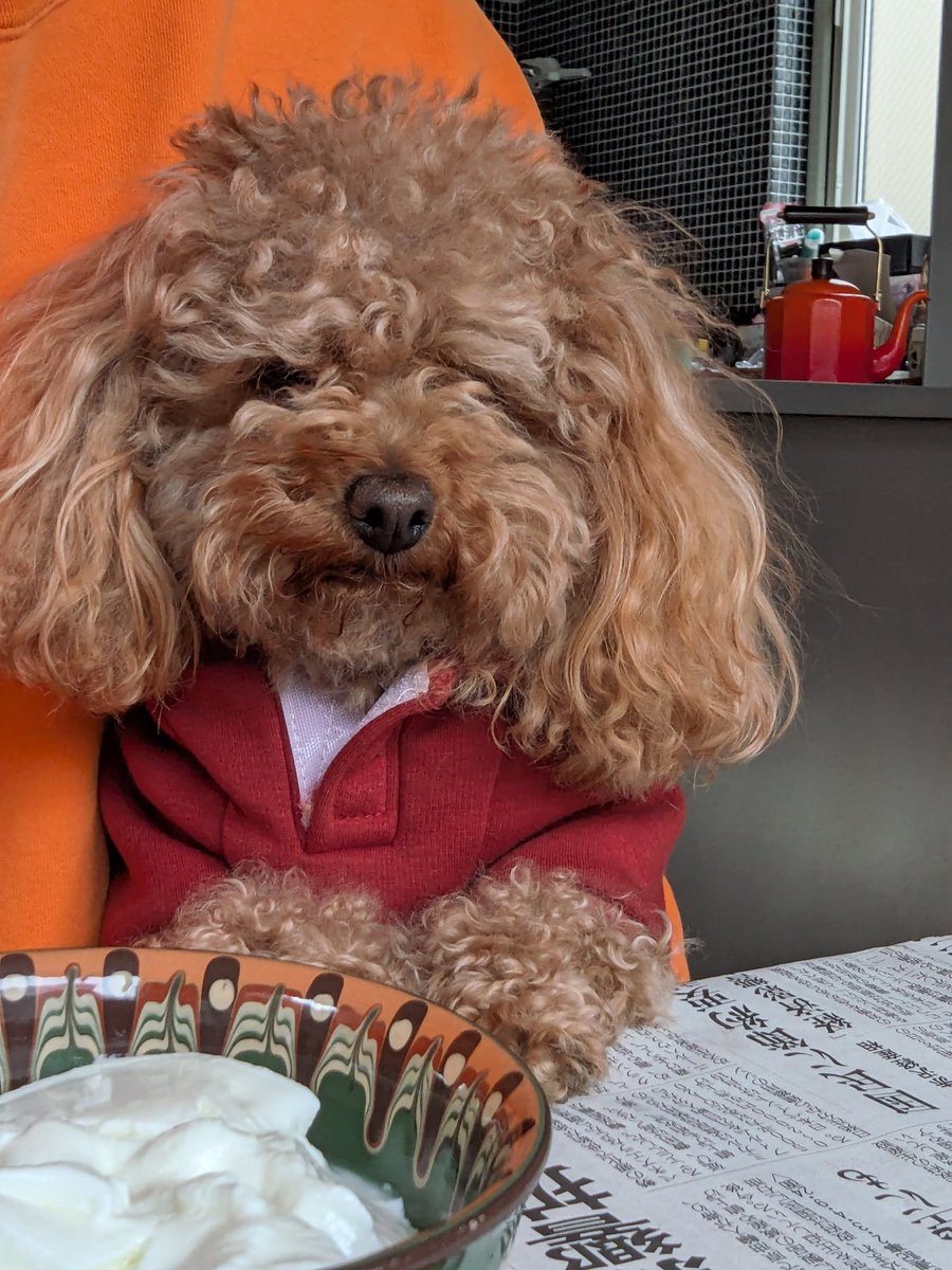 名無し三等兵🐧🍊™️ tweet media