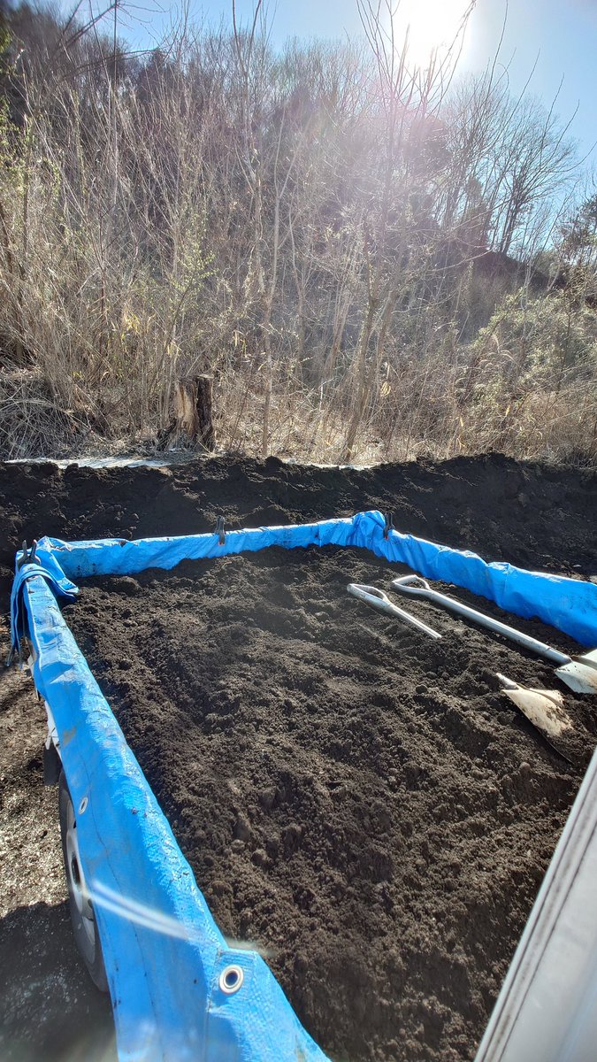 むーぴん🧩 tweet media