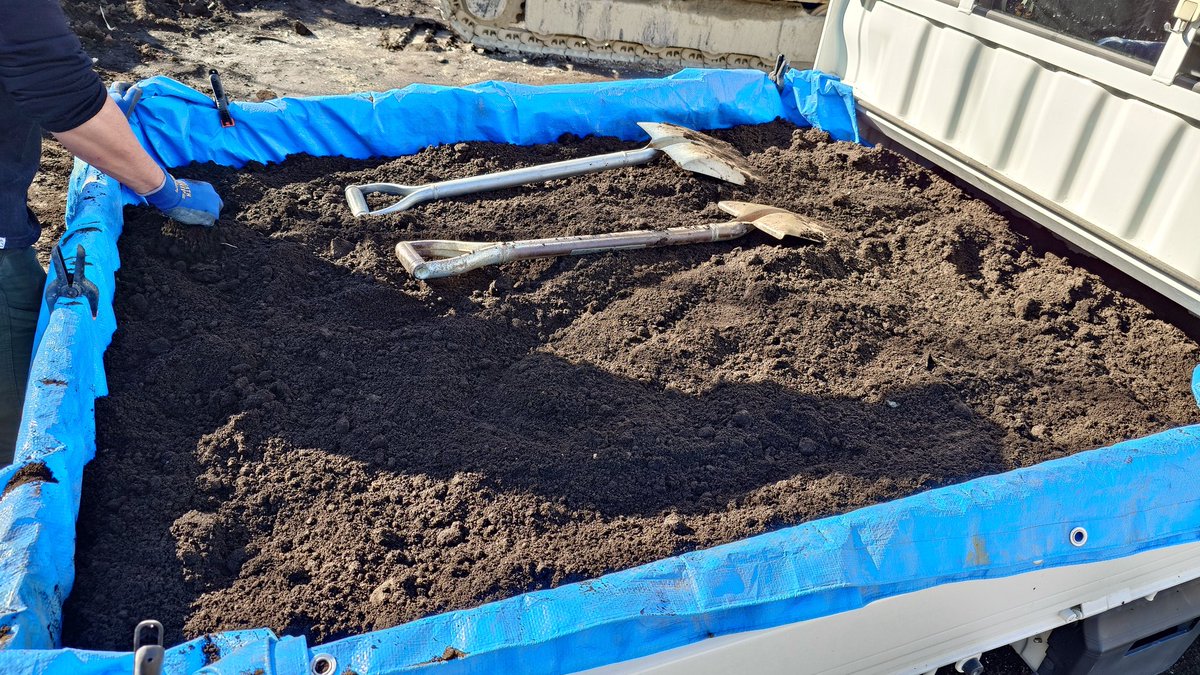 むーぴん🧩 tweet media