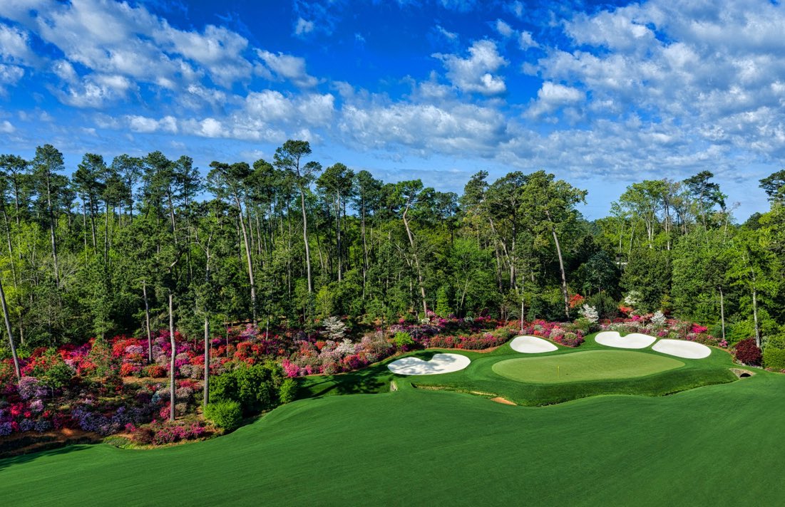 Tour Pro 🏌️‍♂️ tweet media