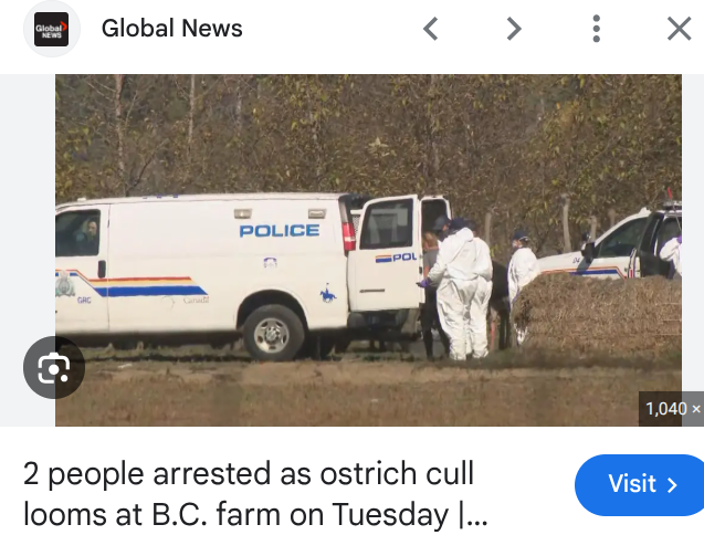 Dean Skoreyko tweet media