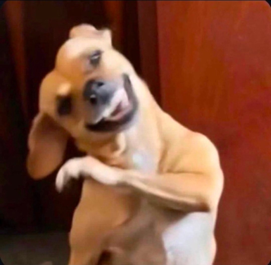 P10 Santo Ângelo com Mau Contato tweet media