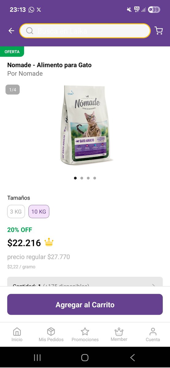 Patty 🐾❤️ tweet media