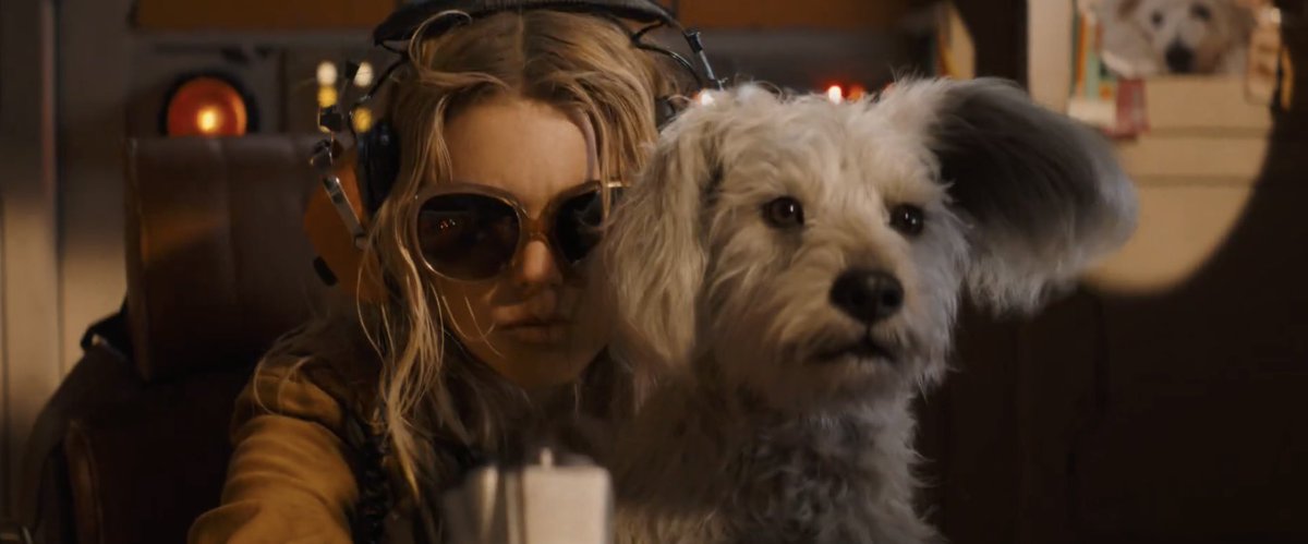 Misty Moon 🌙 tweet media