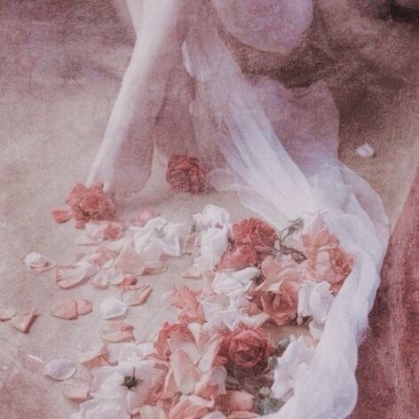 Muse ‧₊˚❀༉‧₊˚. tweet media