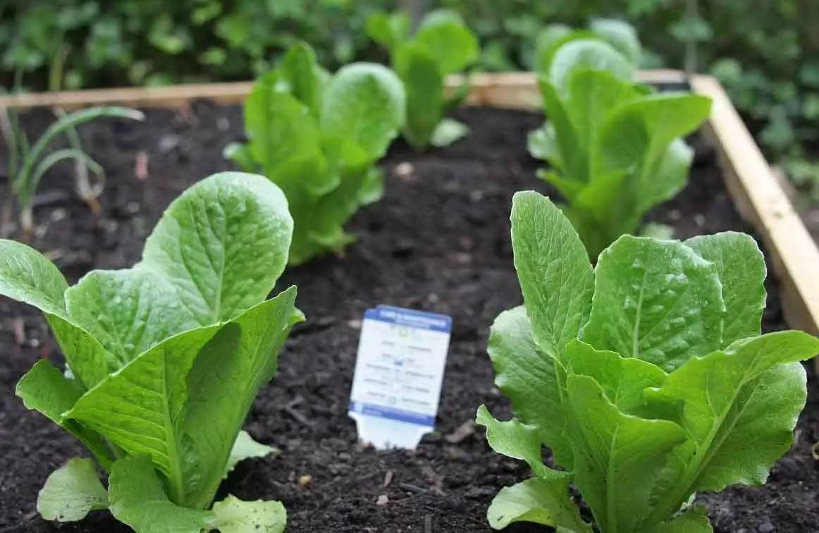 Sally Sparrow tweet media