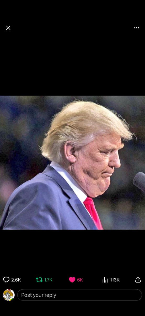 TheRealMigelini tweet media