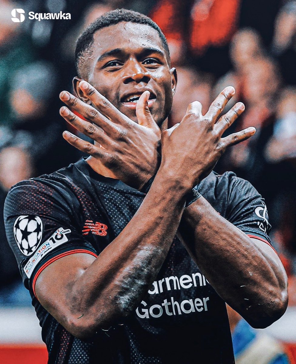 AllezLesLions tweet media