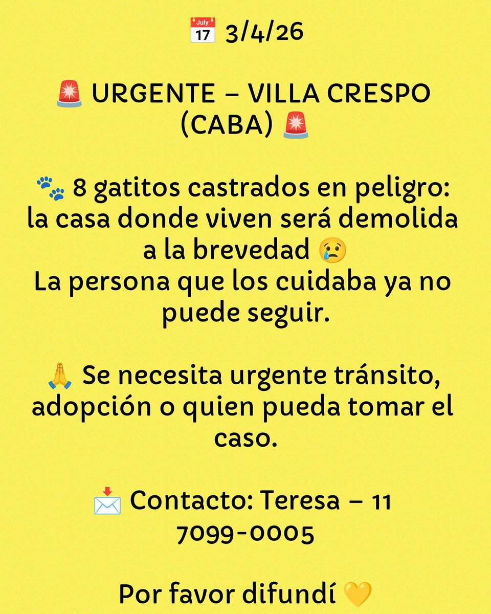 Ro 🇦🇷 tweet media