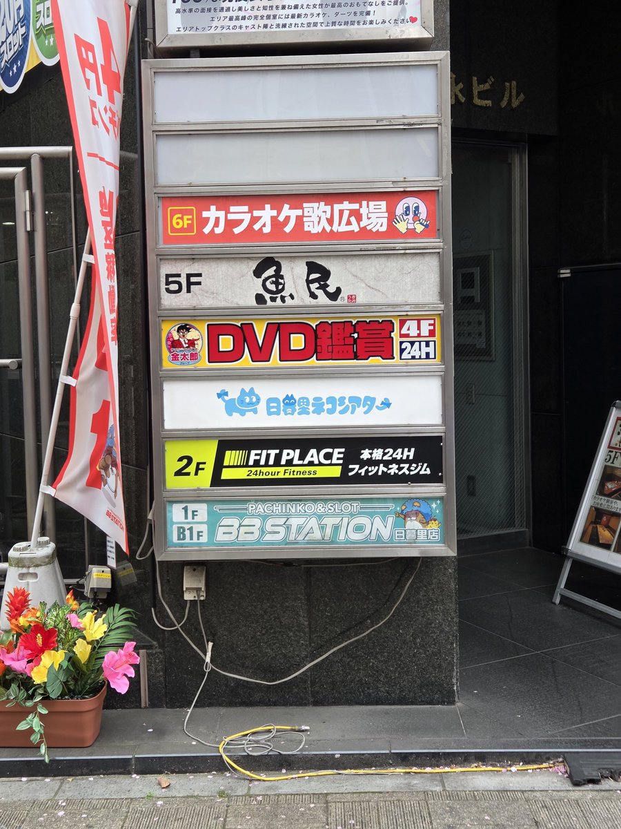 既視感…
そして、ねこと、ゆ○たがいないじゃないの！！！