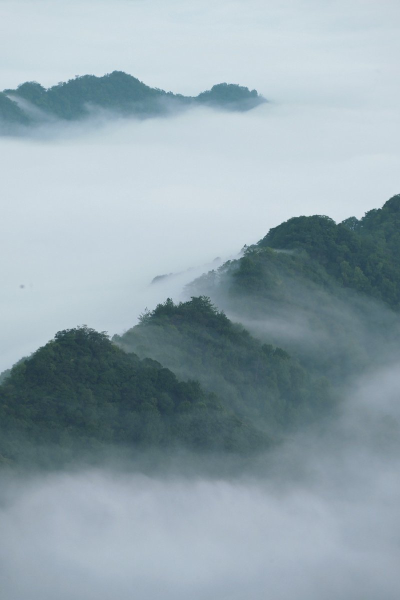 Fiorenzo  Tomasella tweet media