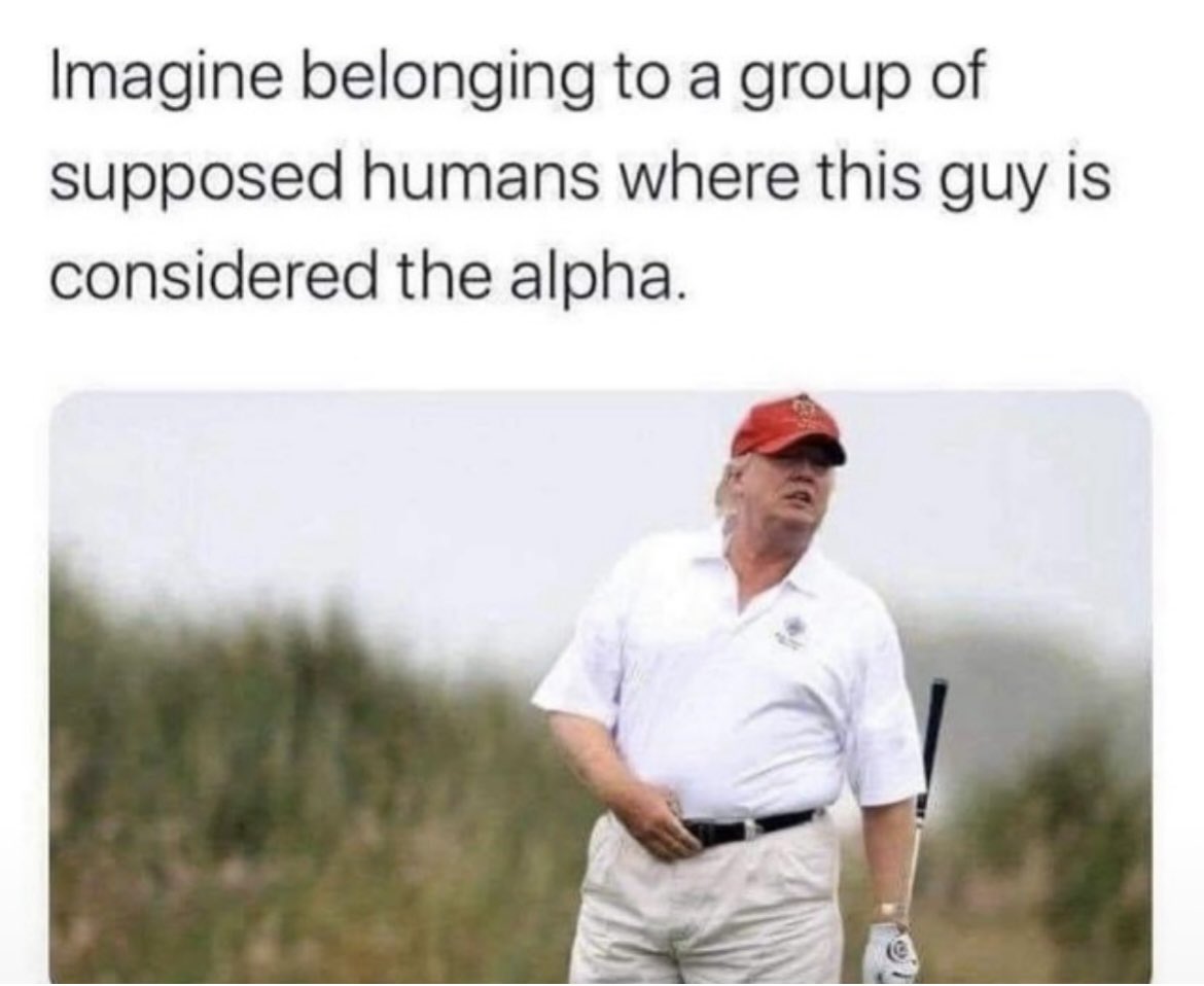 Dolamite tweet media
