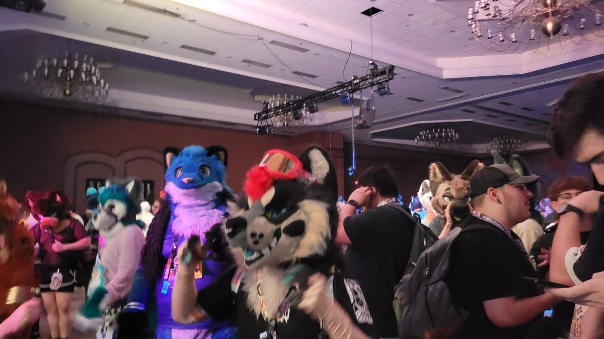 DJNightfirex's tweet photo. Happy Friday. Well @FurryFiesta  is done and I had a wonderful time. Thank you to everyone  all the dances were fire and honestly I should have taken an extra day off then going right back into the clinic lol.  Here a couple of pic for #fursuitfriday. Stay Awesome! https://t.co/ZFnEBHii5R