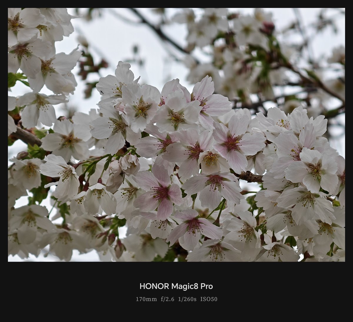 Dan - GroundedTech tweet media