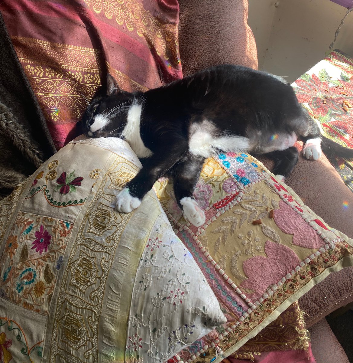 Jaynie Tee tweet media